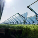 Transformando la agricultura: El futuro de la agrivoltaica en el campo