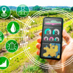 5 Innovaciones chilenas revolucionarias para la agricultura moderna