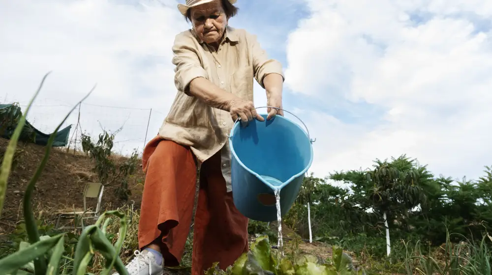 ¿Cómo se puede reducir el uso de agua en la agricultura?